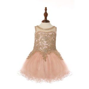 CINDERELLA COUTURE Elegant Illusion Tulle Dress Gold Coil Lace Multi Sizes 5017B